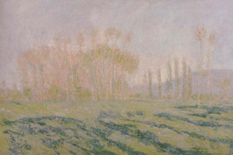 Claude Monet Meadow with Poplars Spain oil painting art